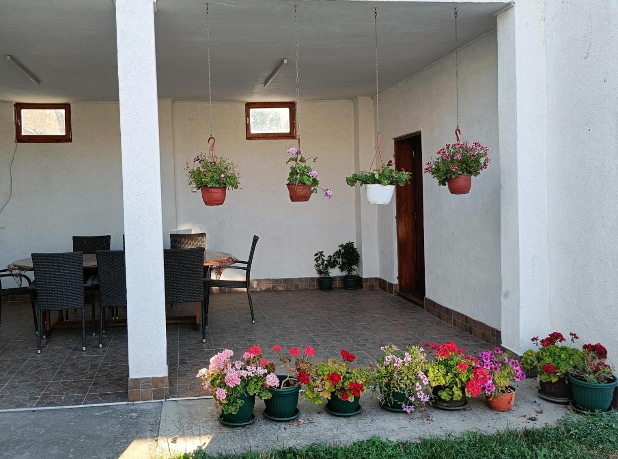 Privatna Soba Dusan Surcin Exterior photo